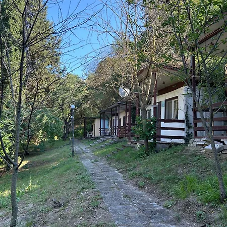 елата *